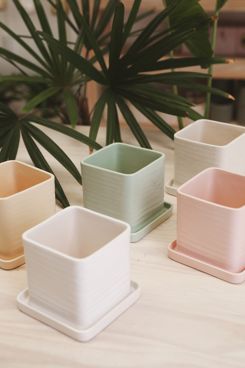 Maceta Cuadrada con plato - comprar online