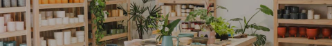 Banner de la categoría Planta + Maceta