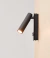 Pared