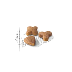 Royal Canin Sensible - 1,5kg - comprar online