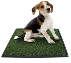 Alfombra Sanitaria Pasto Perros 50x64