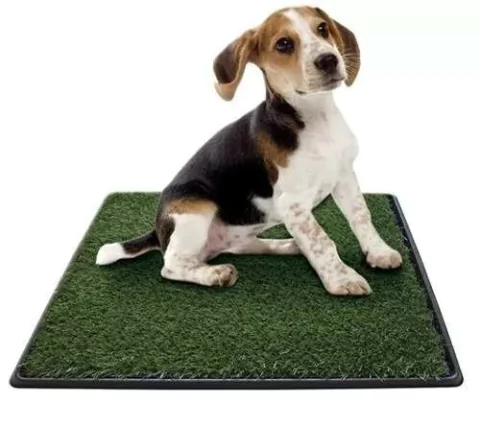 Alfombra Sanitaria Pasto Perros 50x64