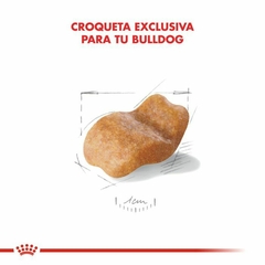 Royal Canin Bulldog Ingles Adulto - 12kg - comprar online