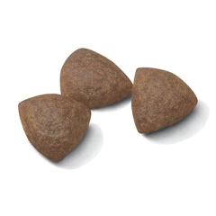 Royal Canin Medium Starter - 3kg - comprar online