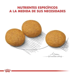 Royal Canin Medium Dermacomfort - 10kg - comprar online