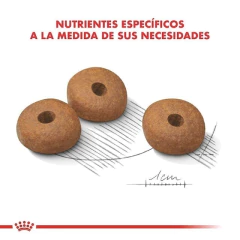 Royal Canin Medium Weight Care - 10kg - comprar online