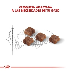 Royal Canin Baby Cat - 1,5kg - comprar online