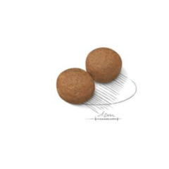 Royal Canin Maxi Adulto - 3kg - comprar online