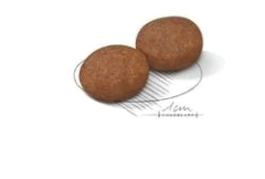 Royal Canin Medium Adulto 7+ - 3kg - comprar online