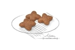 Royal Canin Mini Adulto - 7,5kg - comprar online