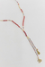 Imagen de Collar Tulipan