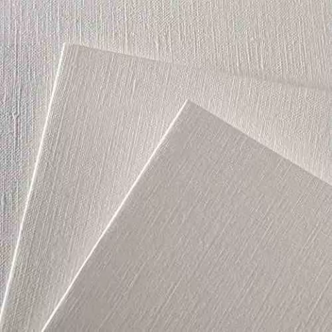 Hoja Canson Figueras para Oleo 290gr 50x70