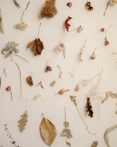 Vivência de Eternização do Buquê - comprar online