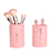Set De Brochas Pro Colección Rose Gold Pink Up en internet