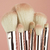 Set De Brochas Pro Colección Rose Gold Pink Up - Fashionity - Tienda online de Maquillaje, productos de belleza y cuidado personal.