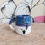 Taza BLAS