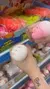 Kit C/12 Squish Brinquedos Anti-stress de Animais
