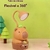 Kit C/6 Luminárias Fofa de Capivara Atacado - comprar online