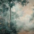 BOSQUI en internet