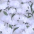 CLOUD - tienda online