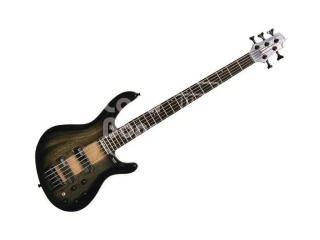 C5-PLUS-ZBMH-TBB Cort Bajo Activo 5 Cuerdas