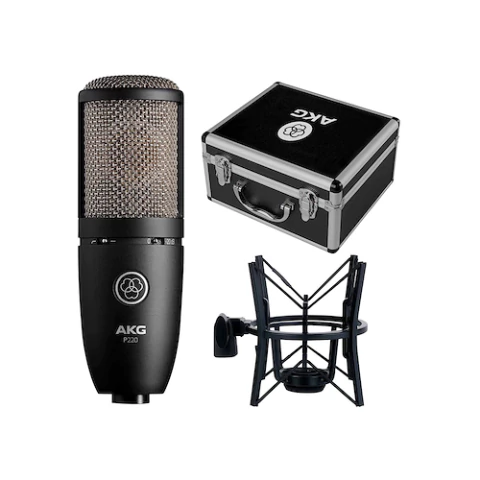 AKG PERCEPTION P220
