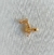 Pingente fada do dente banhado a ouro 18k
