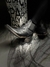 Imagen de COUNTRY
