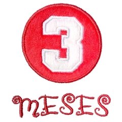 Body Bordado Manga Longa Branco Algodão Mesversário 3 Meses | Isabb - comprar online
