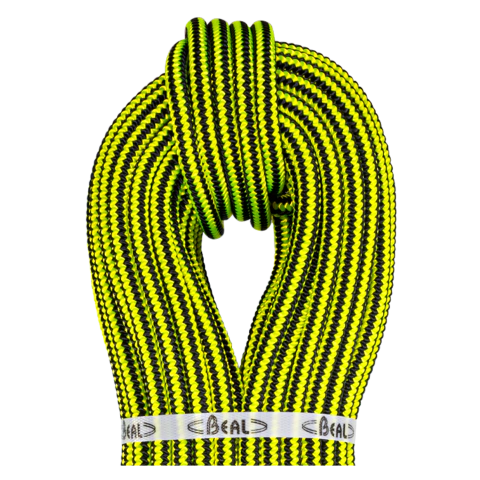 GINKGO 12mm Beal - comprar online