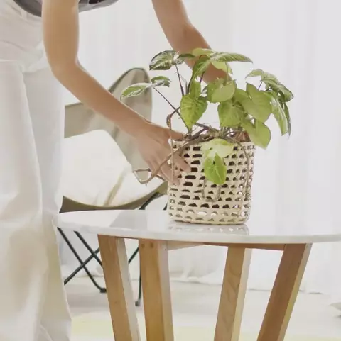 CESTO 15CM - comprar online