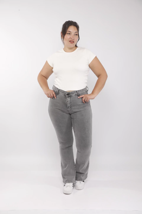 JEAN OXFORD GRIS - comprar online