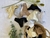 BOMBACHA COLALESS LABRADA - comprar online