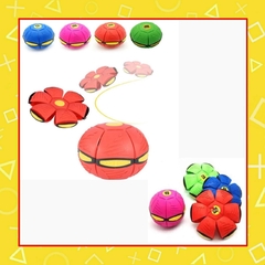 Pelota frisbee fly ball