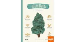 LOS ÁRBOLES Y SUS SECRETOS - COUTARD, VICTOR - BLUME (NATURART)