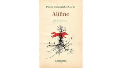 ALIENE - HADJIMARKOS CLARKE PHOEBE - CIA. NAVIERA ILIMITADA