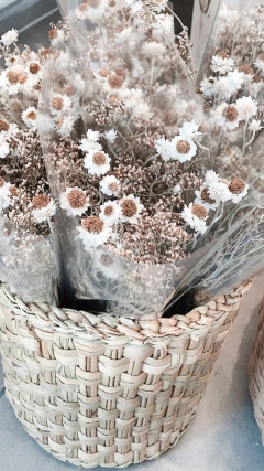 Ramo de flores Margaritas - TULUM.