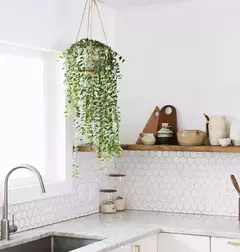 Ceramica Vinilo Autoadhesivo Placa Hexagonal Blanco Muresco en internet