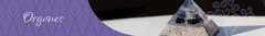 Banner de la categoría Orgones