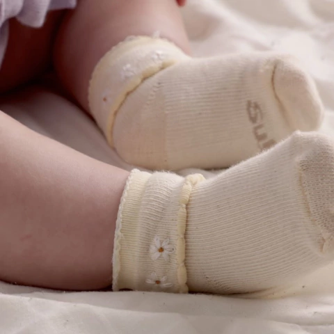 Meia Bebê Margaridas Bordadas - comprar online