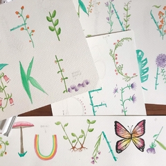 ABECEDARIO DE FLORES LÁMINA A3 (42 x 29,7 cm) - comprar online
