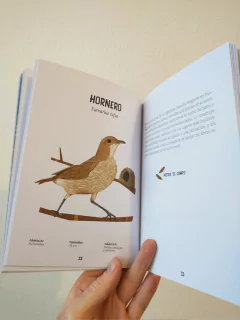 Aves de Buenos Aires en internet