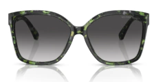 ÓCULOS DE SOL MICHAEL KORS MK2201 - comprar online