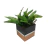 Cachepô Vaso Decorativo Preto e Cobre c Planta Kit c 3 - comprar online