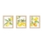 Kit 3 Quadros Decorativos Cozinha Frutas Citron Lemon