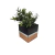 Cachepô Vaso Decorativo Preto e Cobre c Planta Kit c 3 na internet