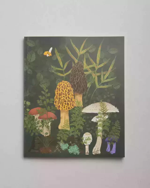 Cuadernos Ediciones de la Montaña tapa blanda  20 x 25 cm