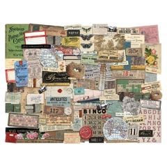 Tim Holtz Coleccion Idea Ology Ephemera Pack Memoir (221)