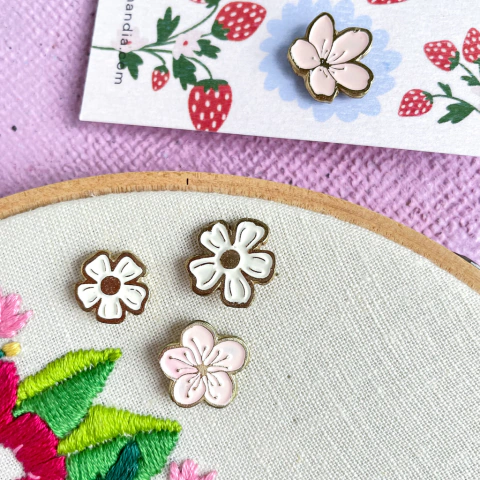 Pins Franca Mandia Serie B