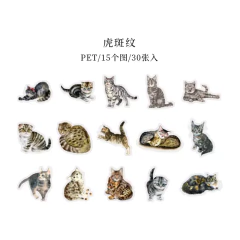 Pack 30 Stickers Kawaii Cat Speak meow en internet